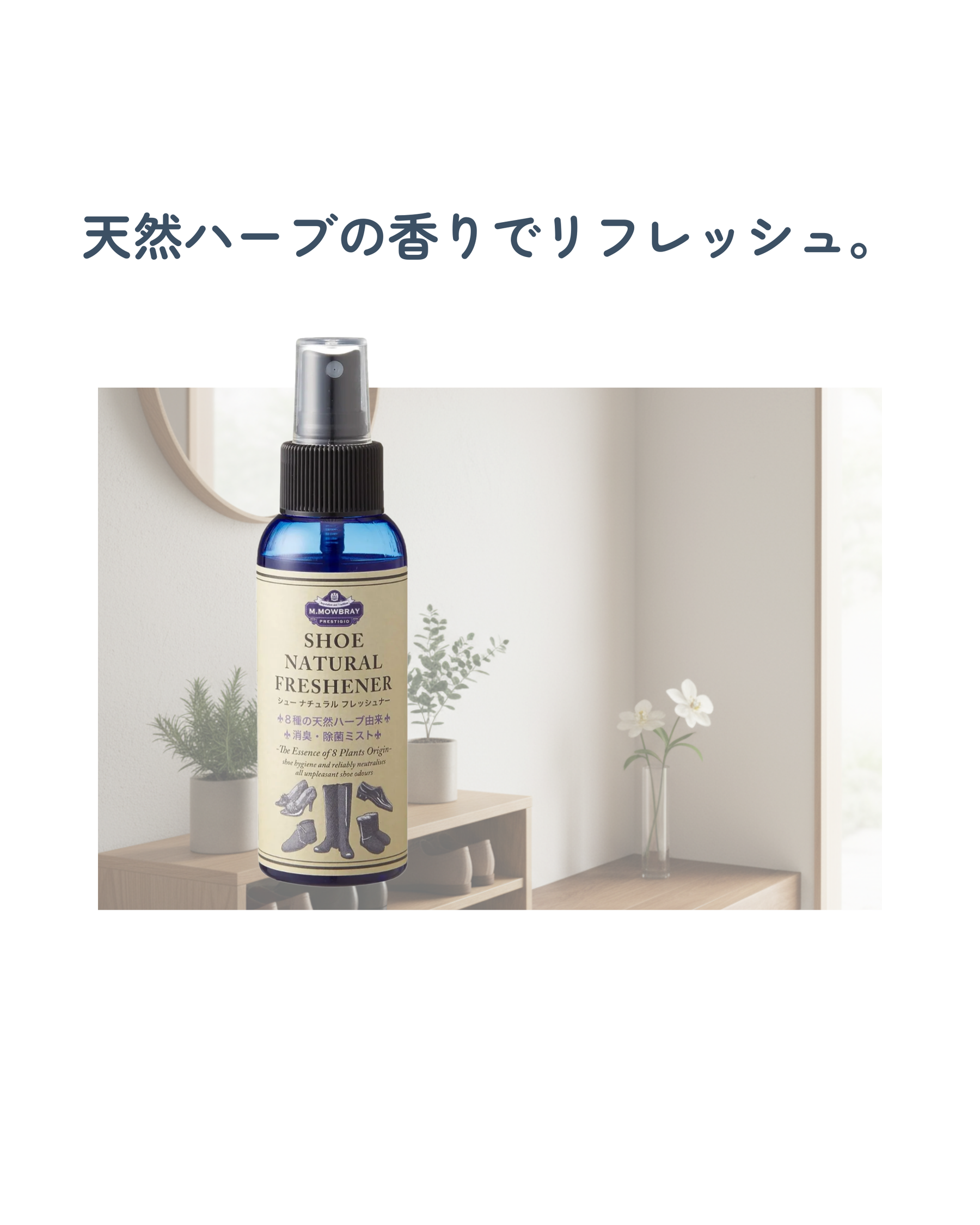 おすすめケアセット【¥4,840→¥4,290】「痛くない・臭わない・汚れない」プロが選んだ "靴の健康" 3点セット（スターターパック）