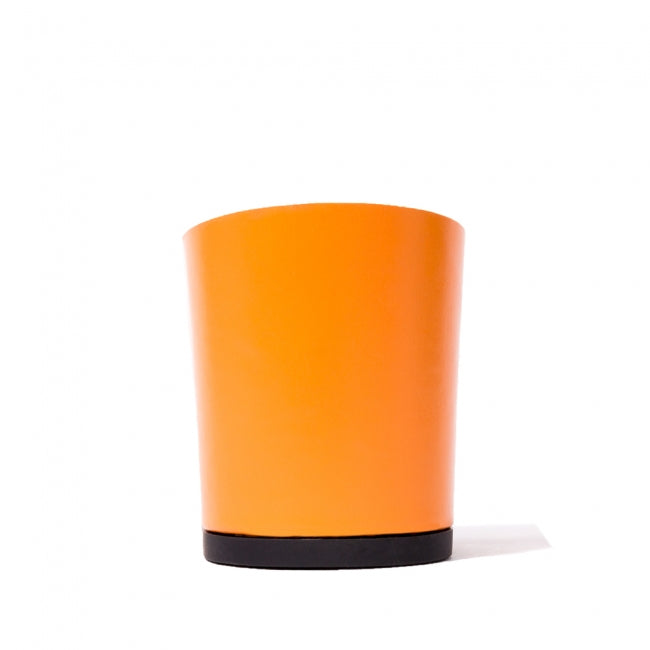 Calinan Glossy Mandarin