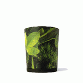 Calinan PV Botanical Green