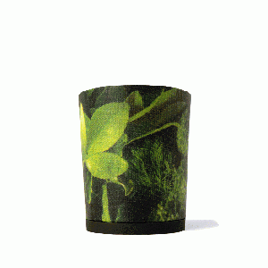 Calinan PV Botanical Green
