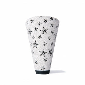 Centenary Star Black×White