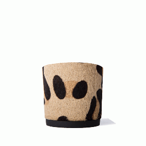 Noor Hair Calf Pony Cheetah